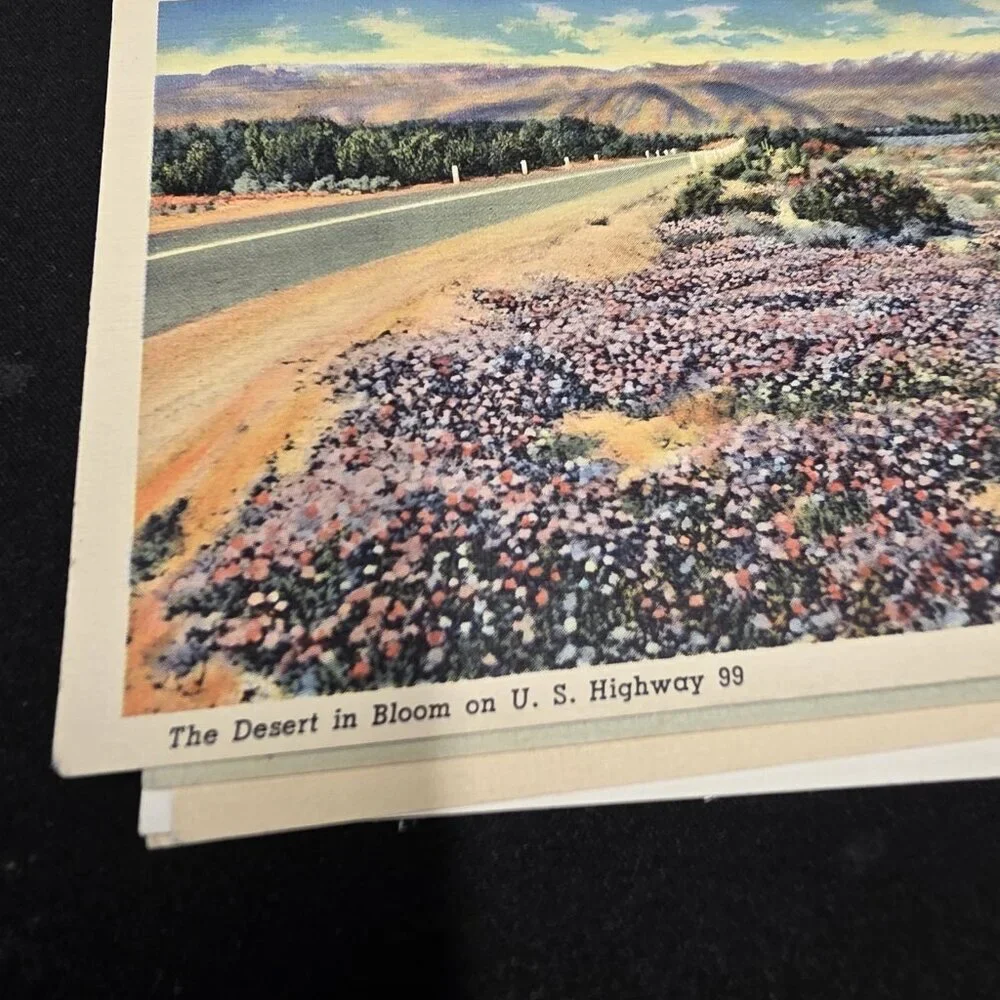 California Scenery Vintage Lot of 6 postcards Flawed Light Smoke Scent